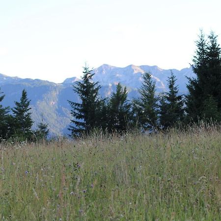 Planinska Hisica Pod Macesni - Bohinj Villa Srednja Vas v Bohinju Eksteriør bilde
